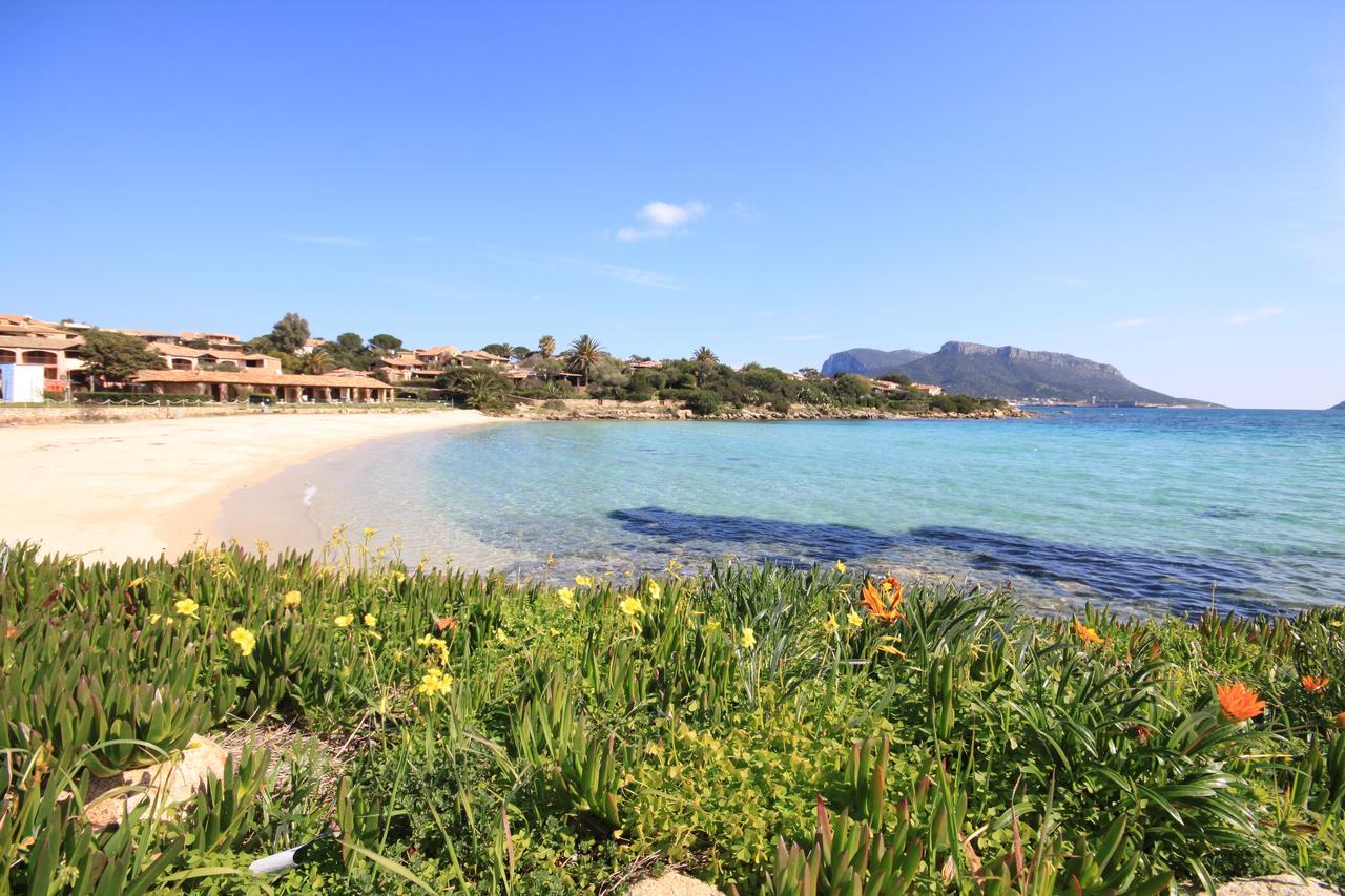 Apartment In S'Abba E Sa Pedra With Pool Golfo Aranci Luaran gambar