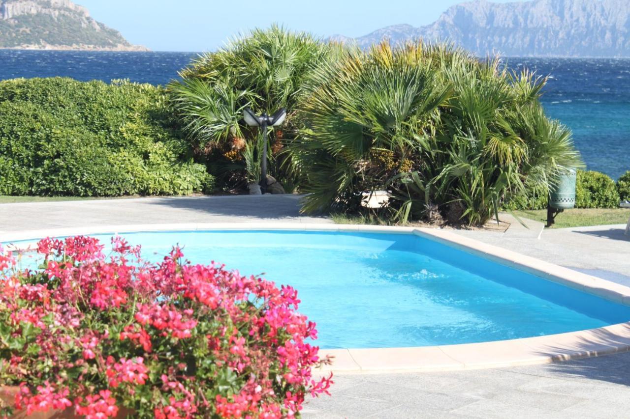 Apartment In S'Abba E Sa Pedra With Pool Golfo Aranci Luaran gambar